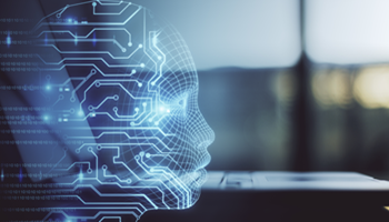 From information theory to machine learning in finance 